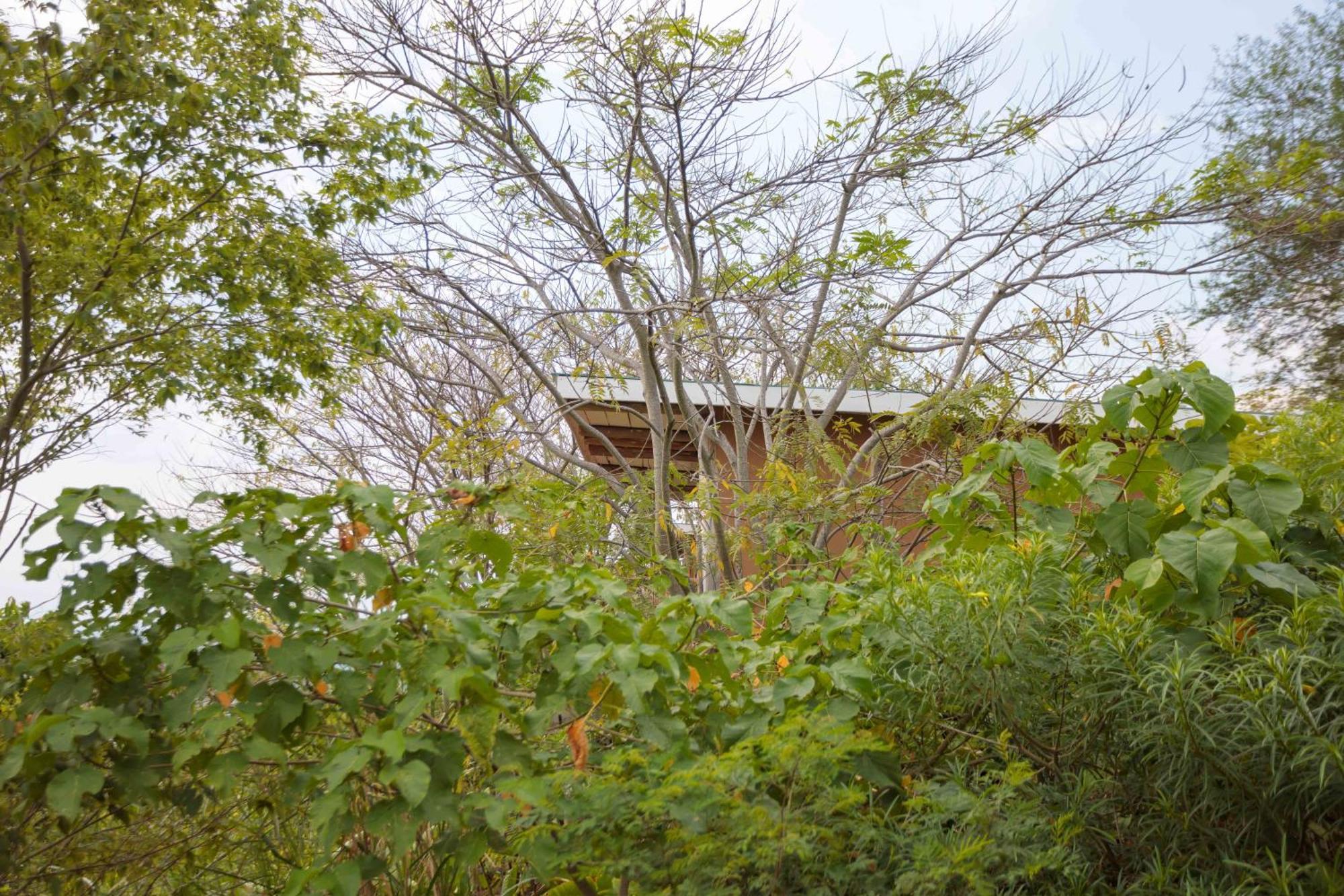 Lake Mwamba Lodge Kasenda Ngoại thất bức ảnh