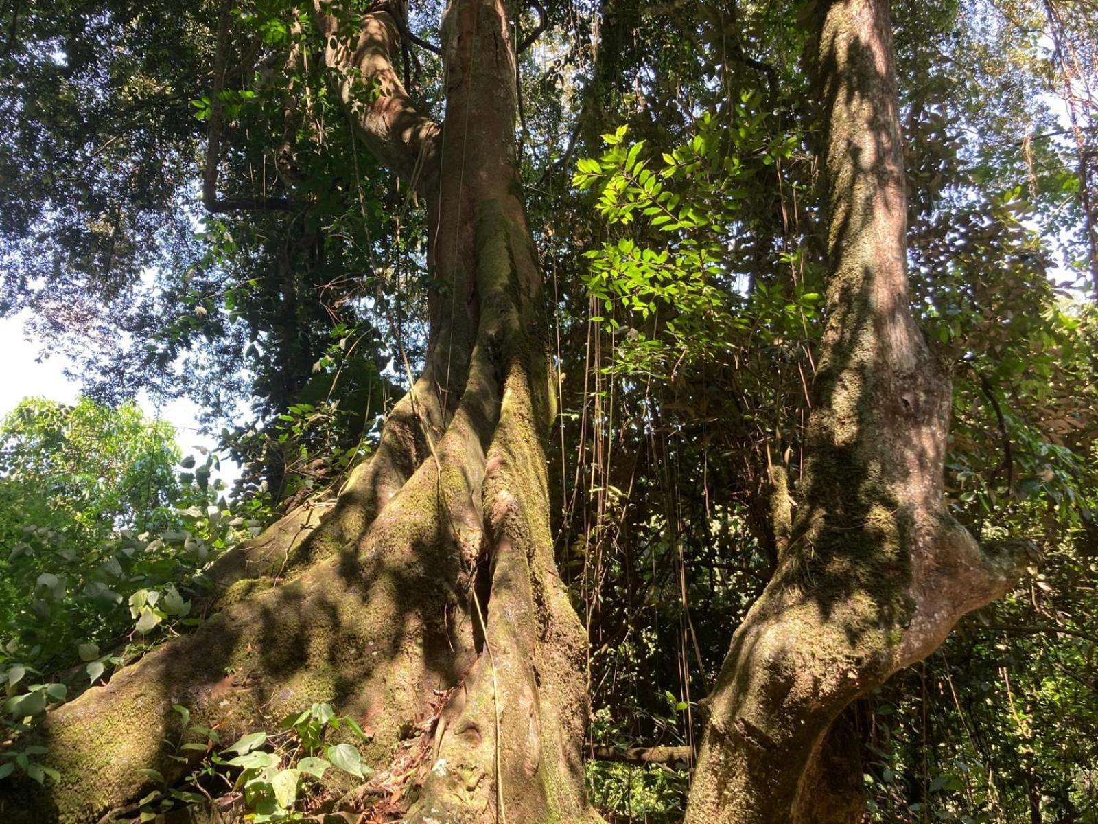 Lake Mwamba Lodge Kasenda Ngoại thất bức ảnh